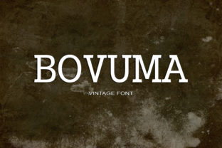 Bovuma: A Modern Serif Font for Creative Projects
