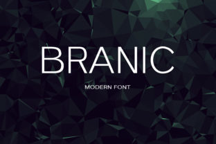 Branic: A Modern Sans Serif for Web Design