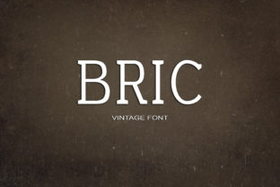 Bric: A Modern Serif Font for Marketing