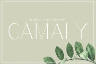 Camaly Font: Modern Sans Serif for Web Design