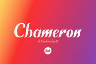 Chameron: A Font for Business Style