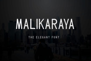 Malikaraya: A Clean Sans Serif Font That Elevates Your Brand