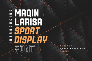 Maqin Larisa: A Modern Sans Serif