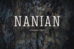 Nanian: A Serif Font for Real-World Design