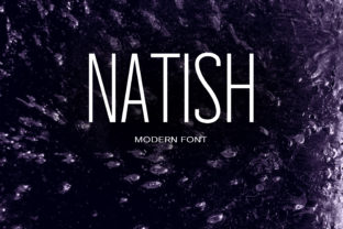 Natish: A Modern Sans Serif for Business Branding