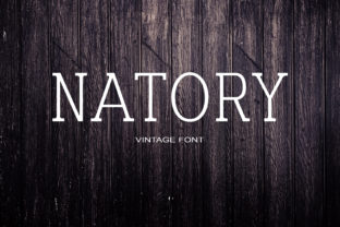 Natory: A Versatile Serif Font