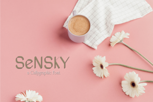 Sensky: A Modern Sans Serif Review