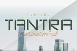 Use Tantra Duo for Modern Web Design
