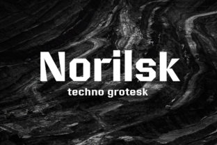 Why Norilsk is a Game-Changer for Business Branding